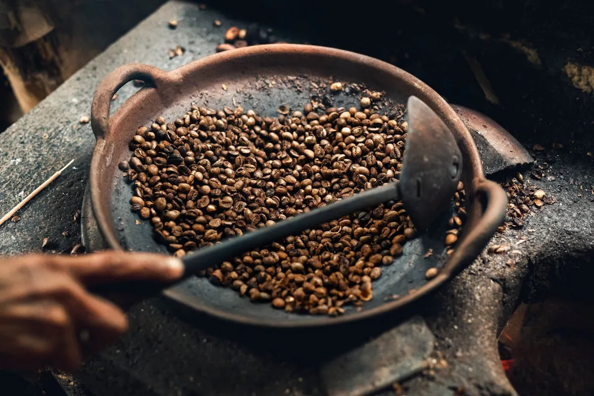 Bulk Brazilian Green Coffee Beans, Direct From Source