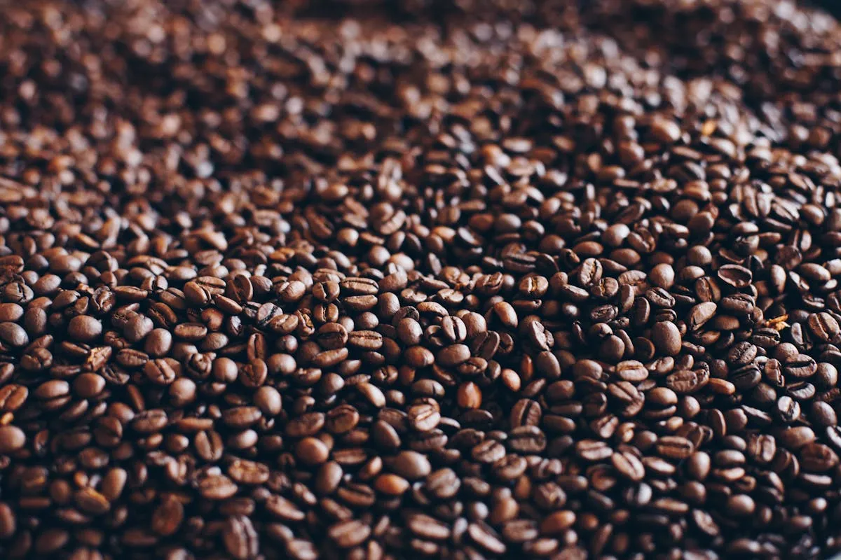 Rooted in Brazil's Finest Growing Regions